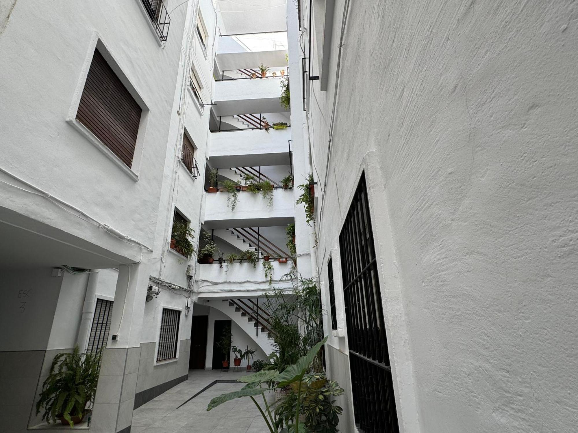El Rincon De Carmela Apartment Kordoba Bagian luar foto